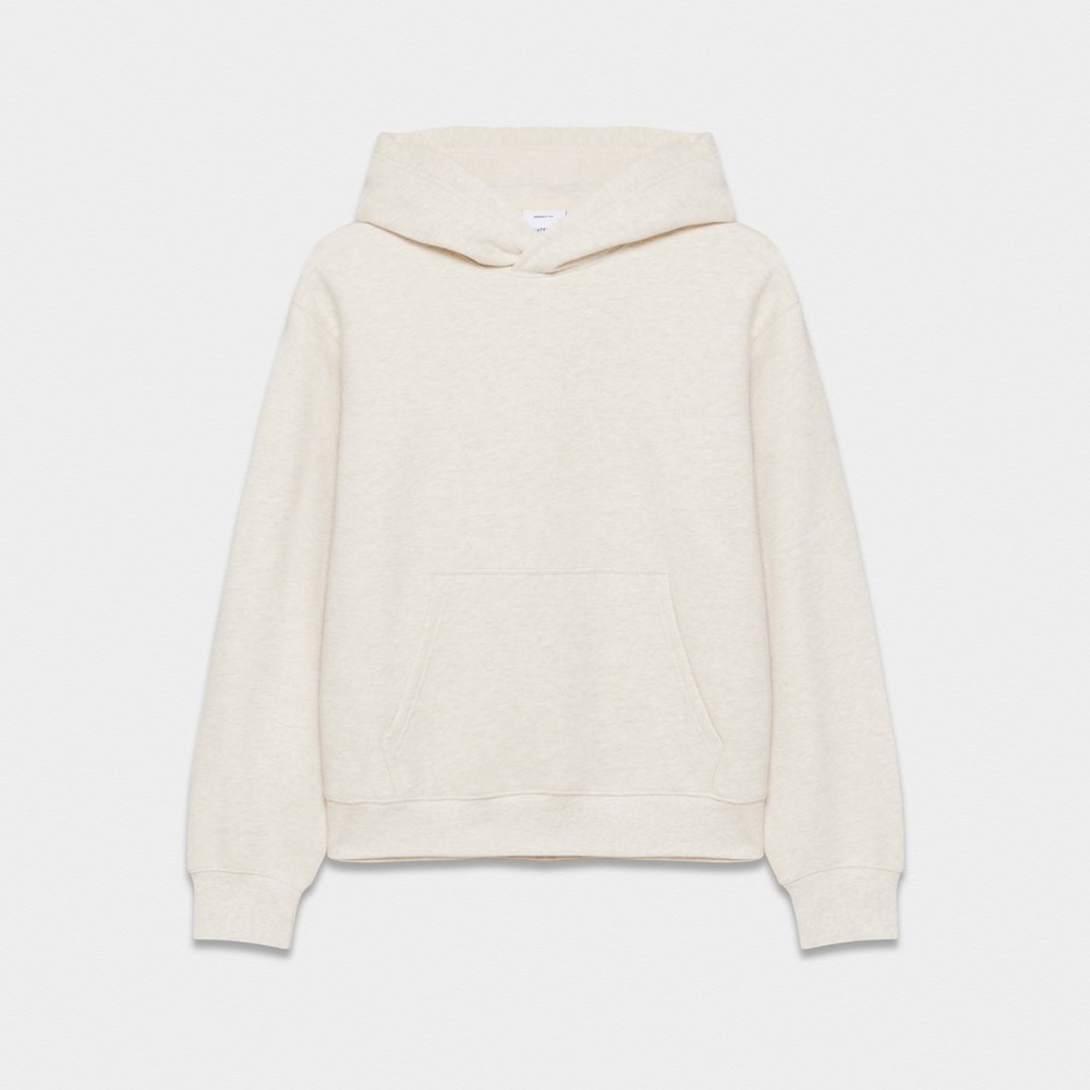 Aritzia TNA Extra Fleece Perfect Hoodie
